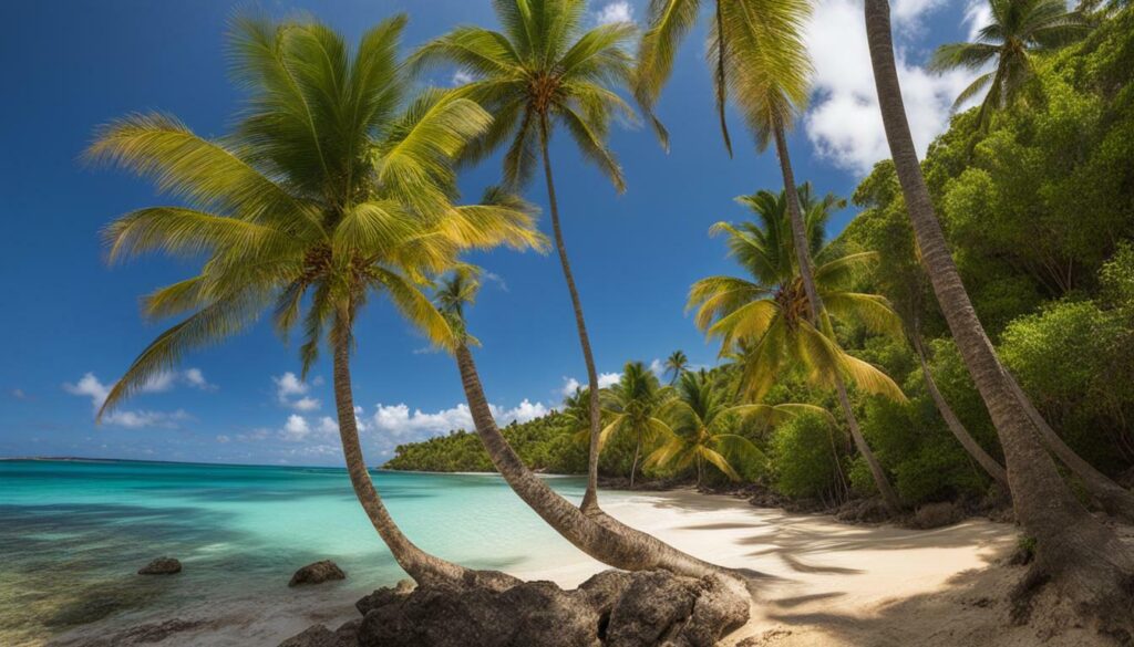 playas en república dominicana